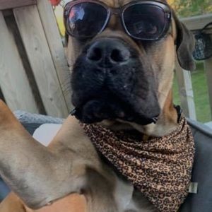 Meet your Posher, Danika